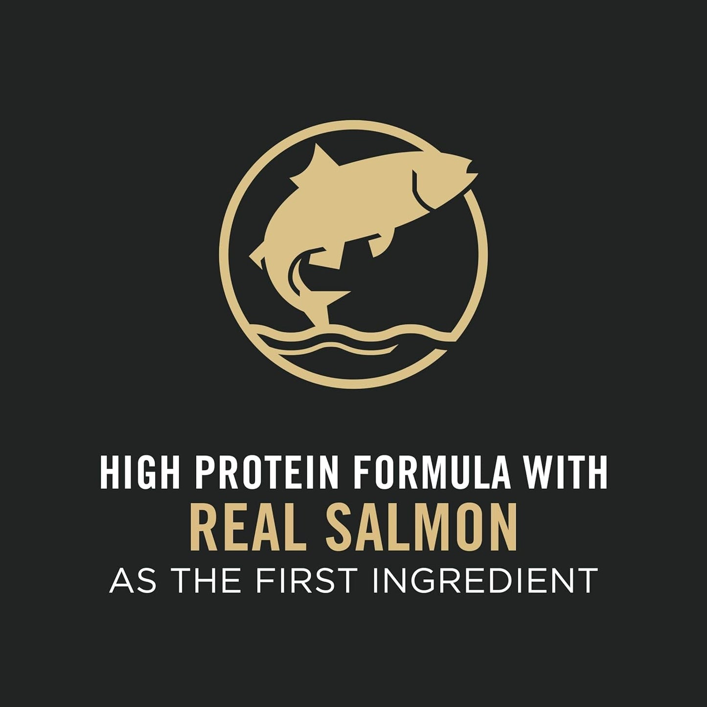Purina Pro Plan Sensitive Skin & Stomach Dry Puppy Food Salmon & Rice Formula - Dry Dog Food Purina Pro Plan