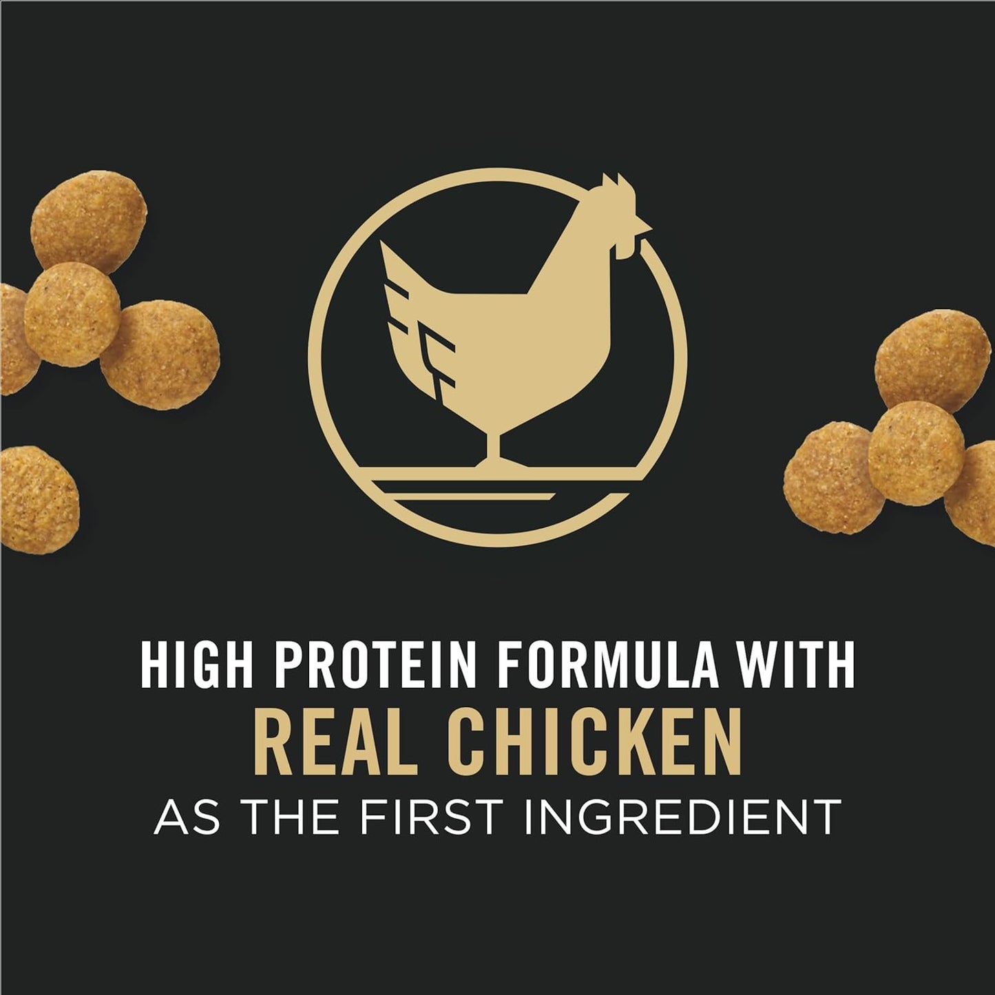 Purina Pro Plan Large Breed Dry Puppy Food, Chicken and Rice Formula - Dry Dog Food Purina Pro Plan
