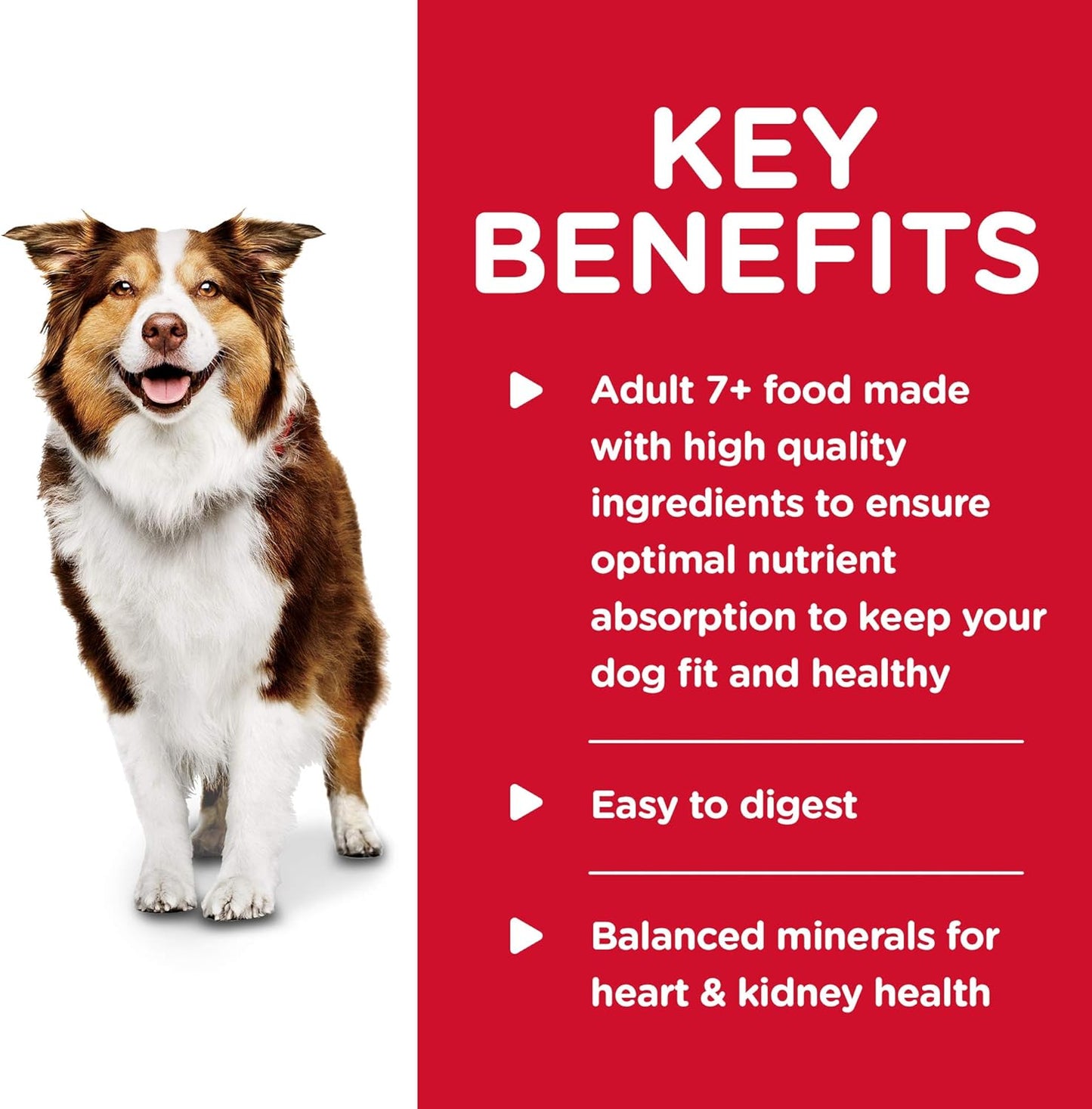 Hill's Science Diet Adult 7+ Chicken & Barley Entree Canned Dog Food, 13 oz, 12-Pack - Wet Dog Food Hill's Science