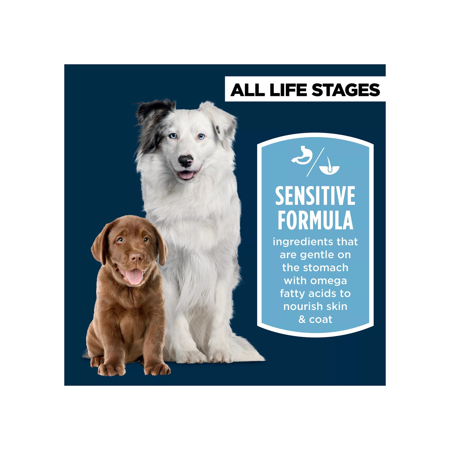 Authority Sensitive Stomach & Skin All Life Stages Dry Dog Food - Salmon & Rice