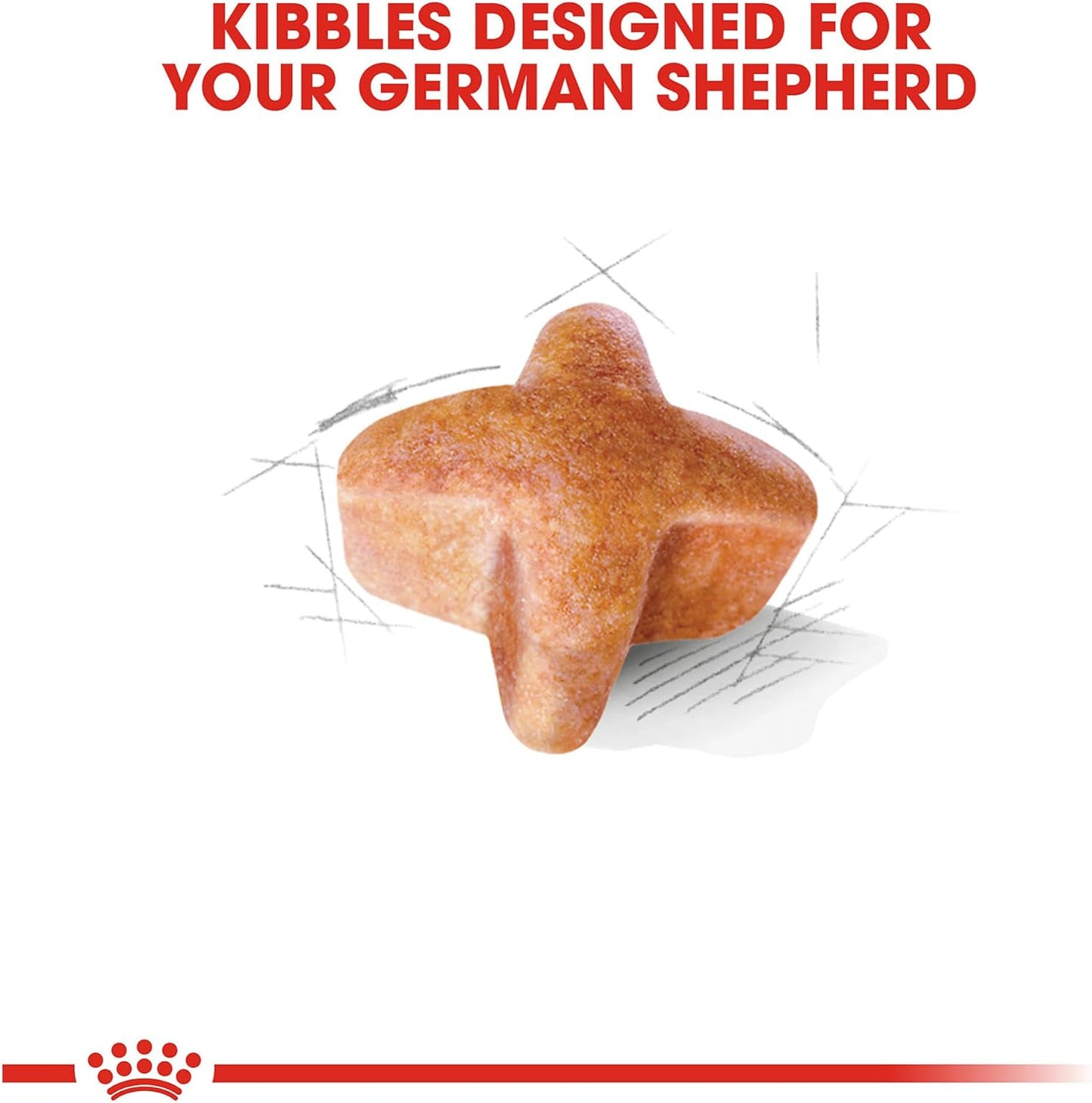 Royal Canin Breed Health Nutrition German Shepherd Adult Dry Dog Food - Dry Dog Food Royal Canin