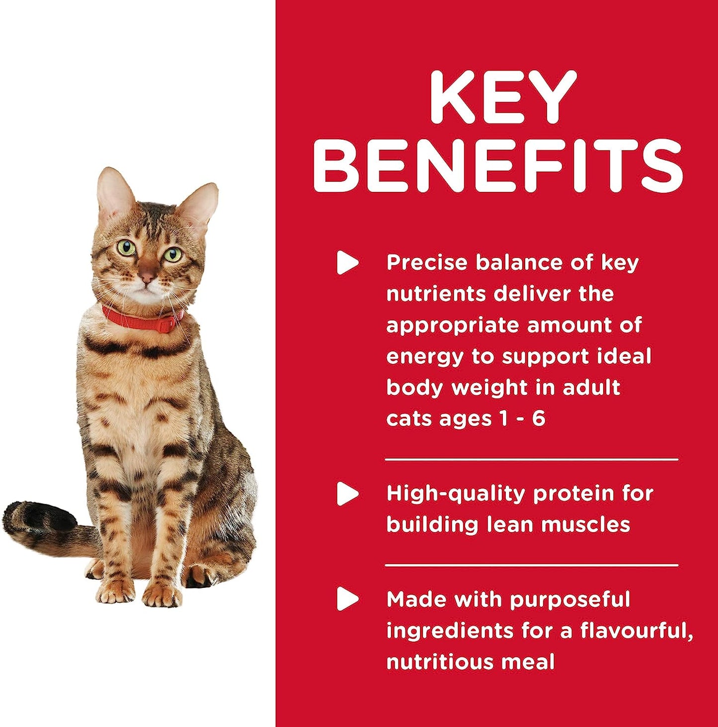 Hill's Science Diet Canned Wet Cat Food Healthy Cuisine Adult Roasted Chicken & Rice for Healthy Weight & Weight Management - Wet Cat Food Hill's Science