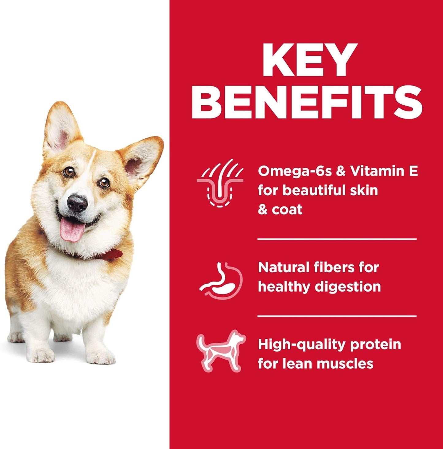Hill's Science Diet Dry Dog Food, Adult 1-6, Small Bites, Chicken & Barley Recipe - Dry Dog Food Hill's Science