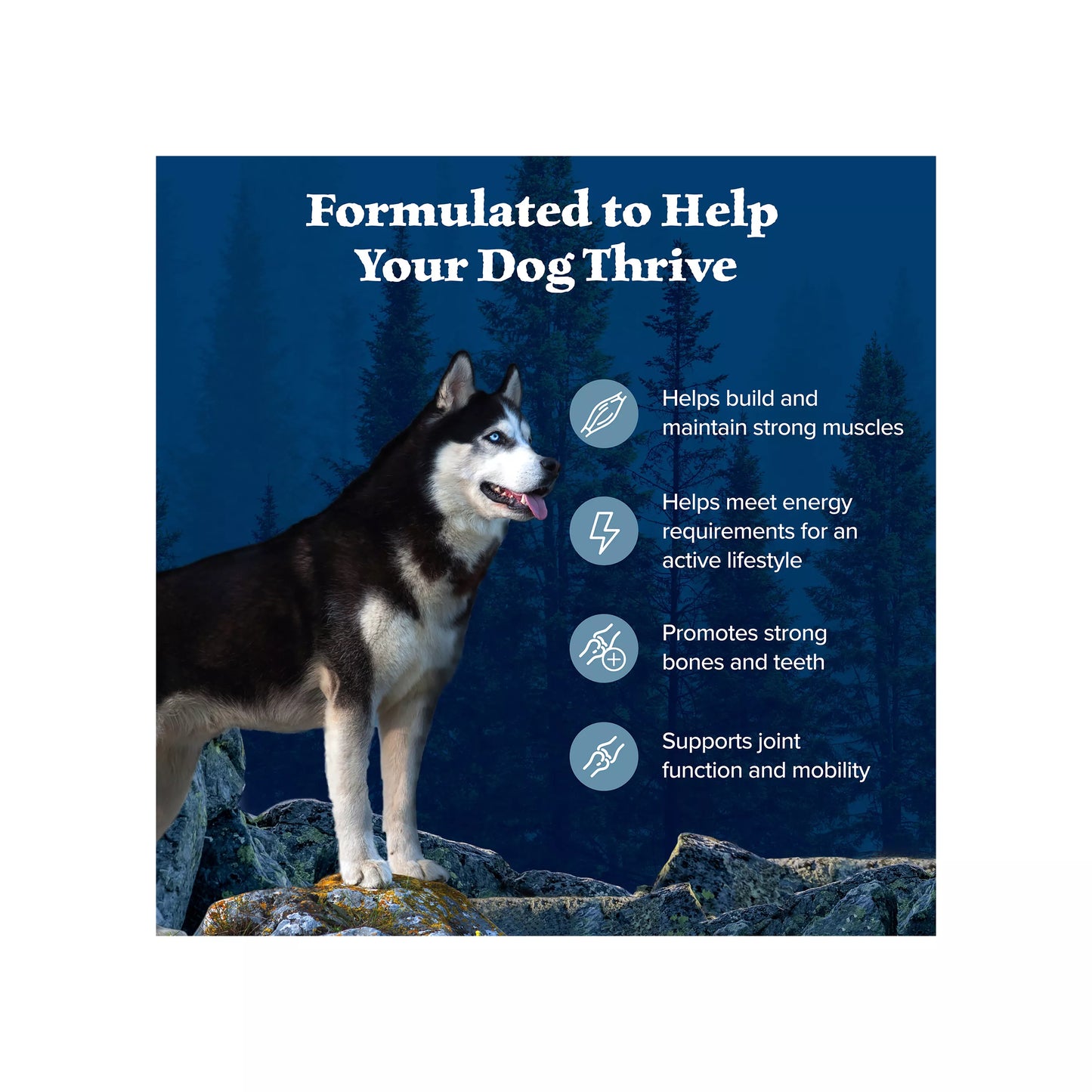 Blue Buffalo Wilderness Nature's Evolutionary Diet Adult Dry Dog Food - Chicken