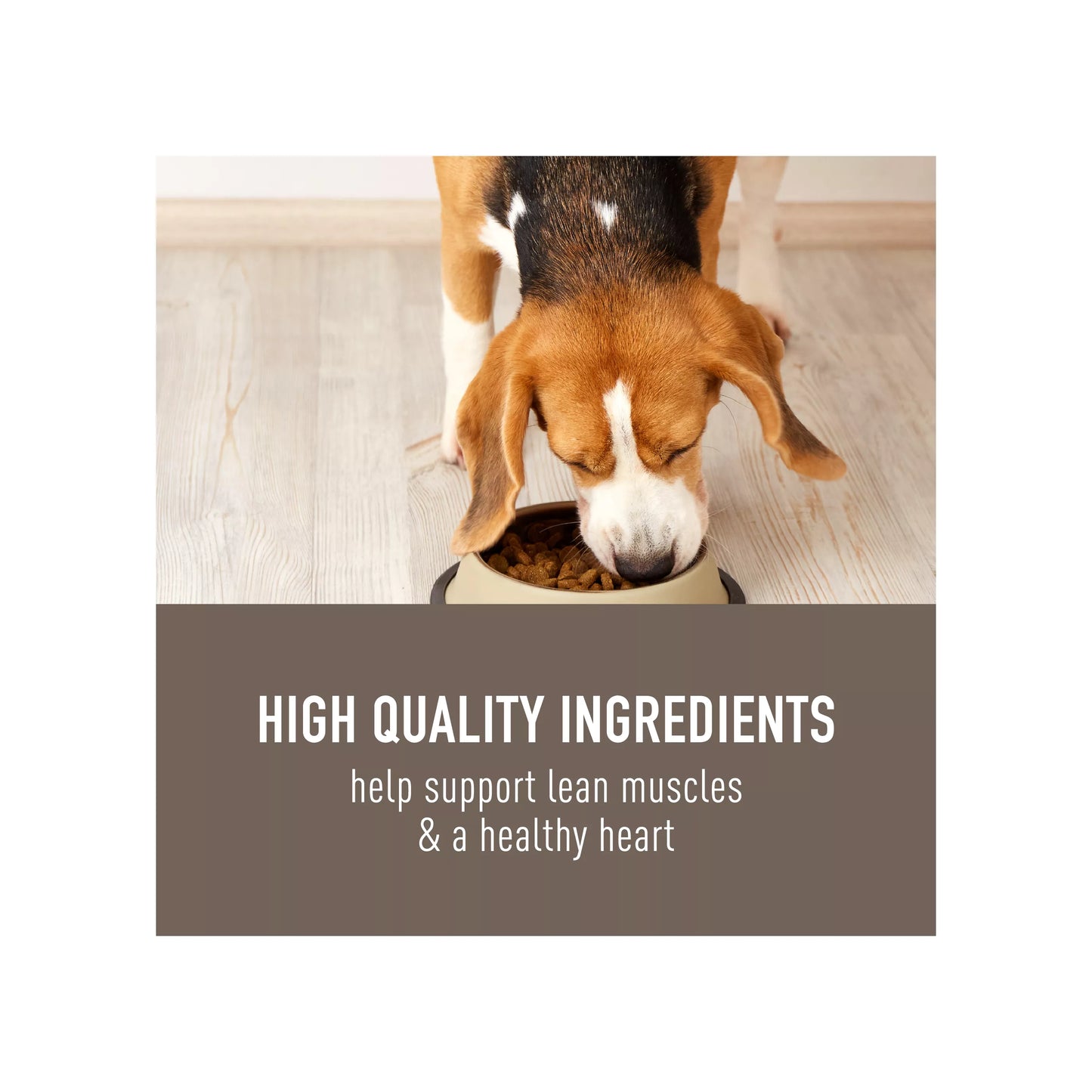 Simply Nourish Original Adult Dry Dog Food - Chicken & Brown Rice