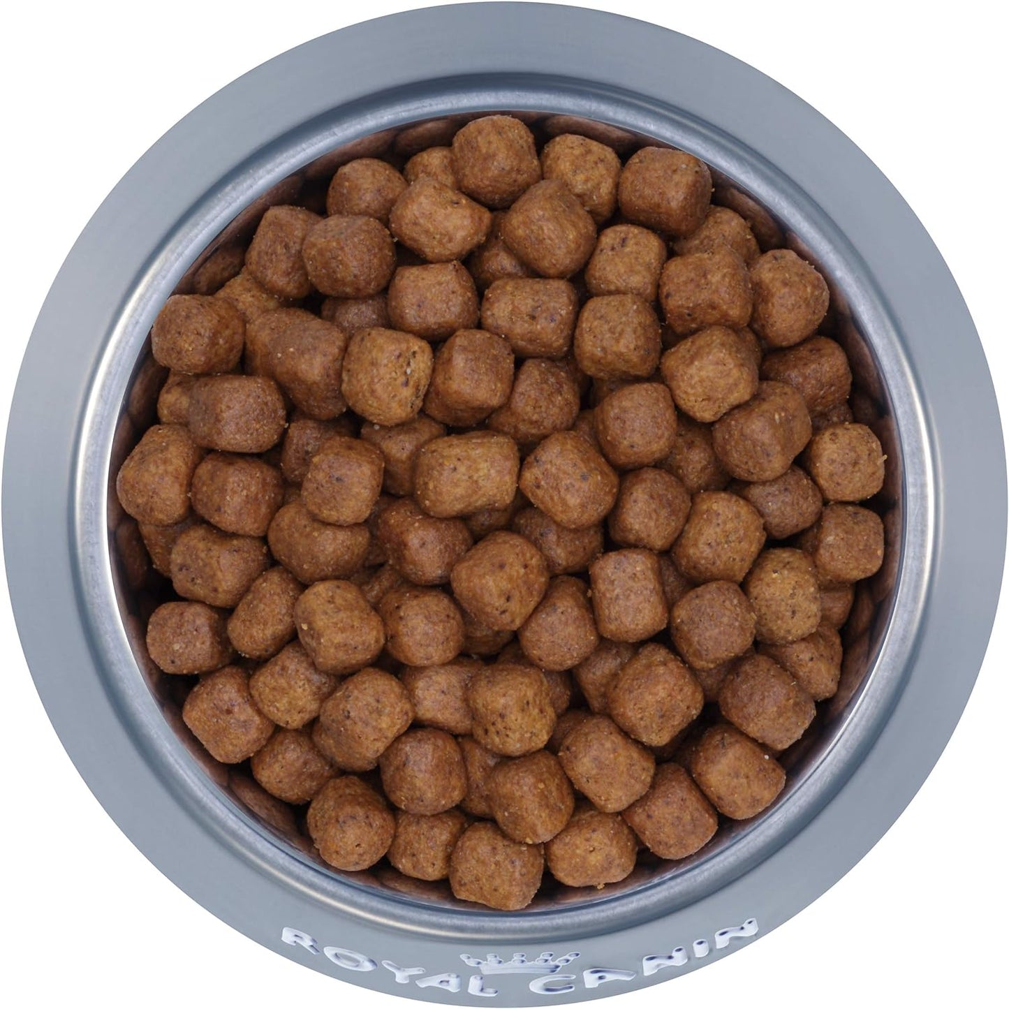Royal Canin Maine Coon Breed Adult Dry Cat Food, 6 LB - Dry Cat Food Royal Canin
