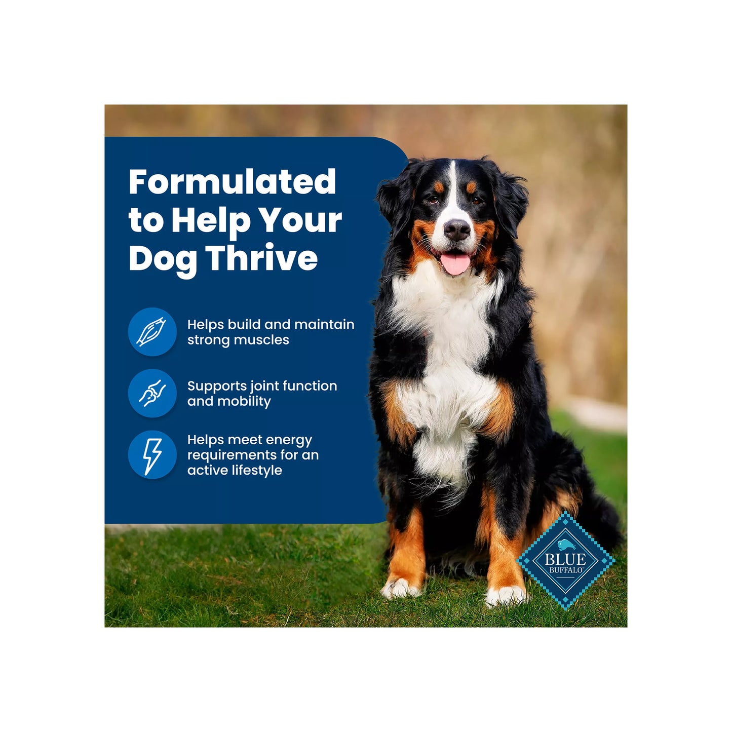 Blue Buffalo Life Protection Formula Adult Dry Dog Food - Chicken & Brown Rice