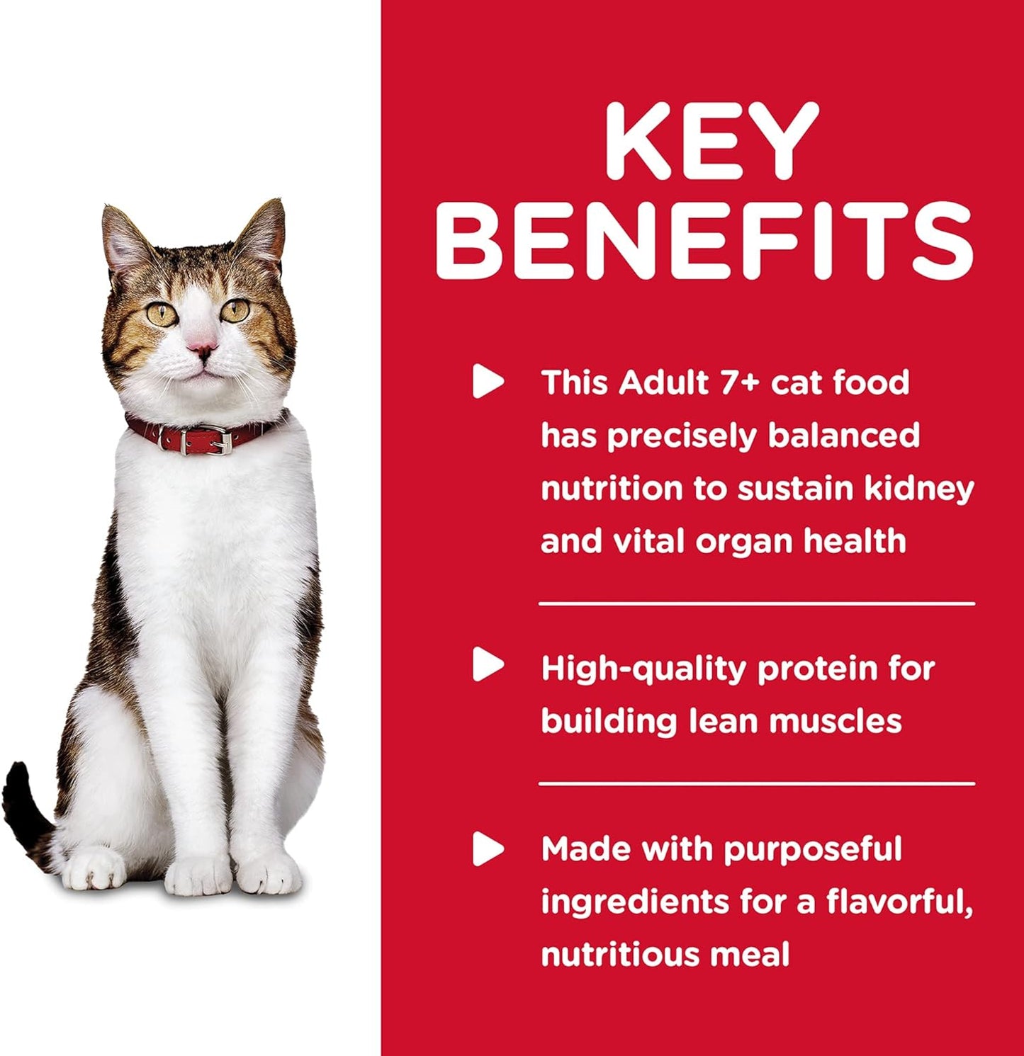 Hill's Science Diet Senior Wet Cat Food, Adult 7+ Savory Chicken Entrée Minced Cat Food - Wet Cat Food Hill's Science