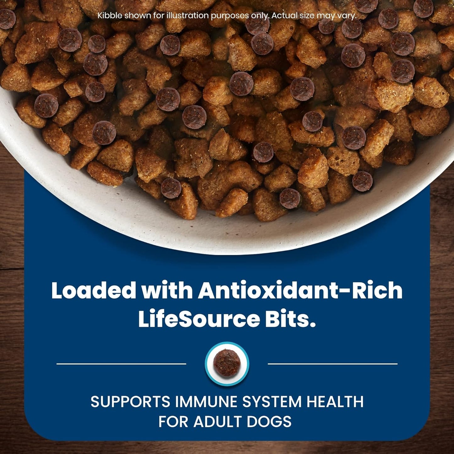Blue Buffalo Blue Life Protection Formula Natural Adult Beef and Brown Rice Dry Dog Food - Dry Dog Food Blue Buffalo