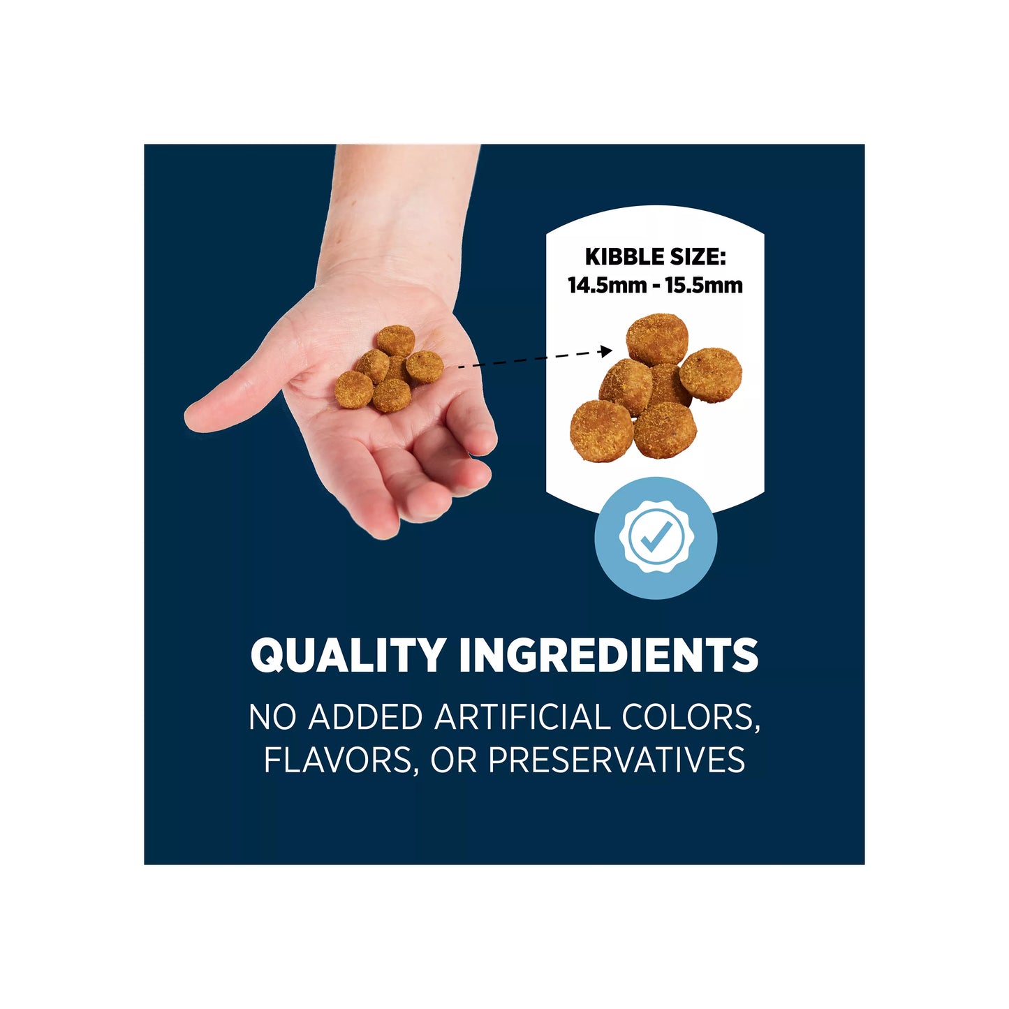 Authority Sensitive Stomach & Skin All Life Stages Dry Dog Food - Salmon & Rice