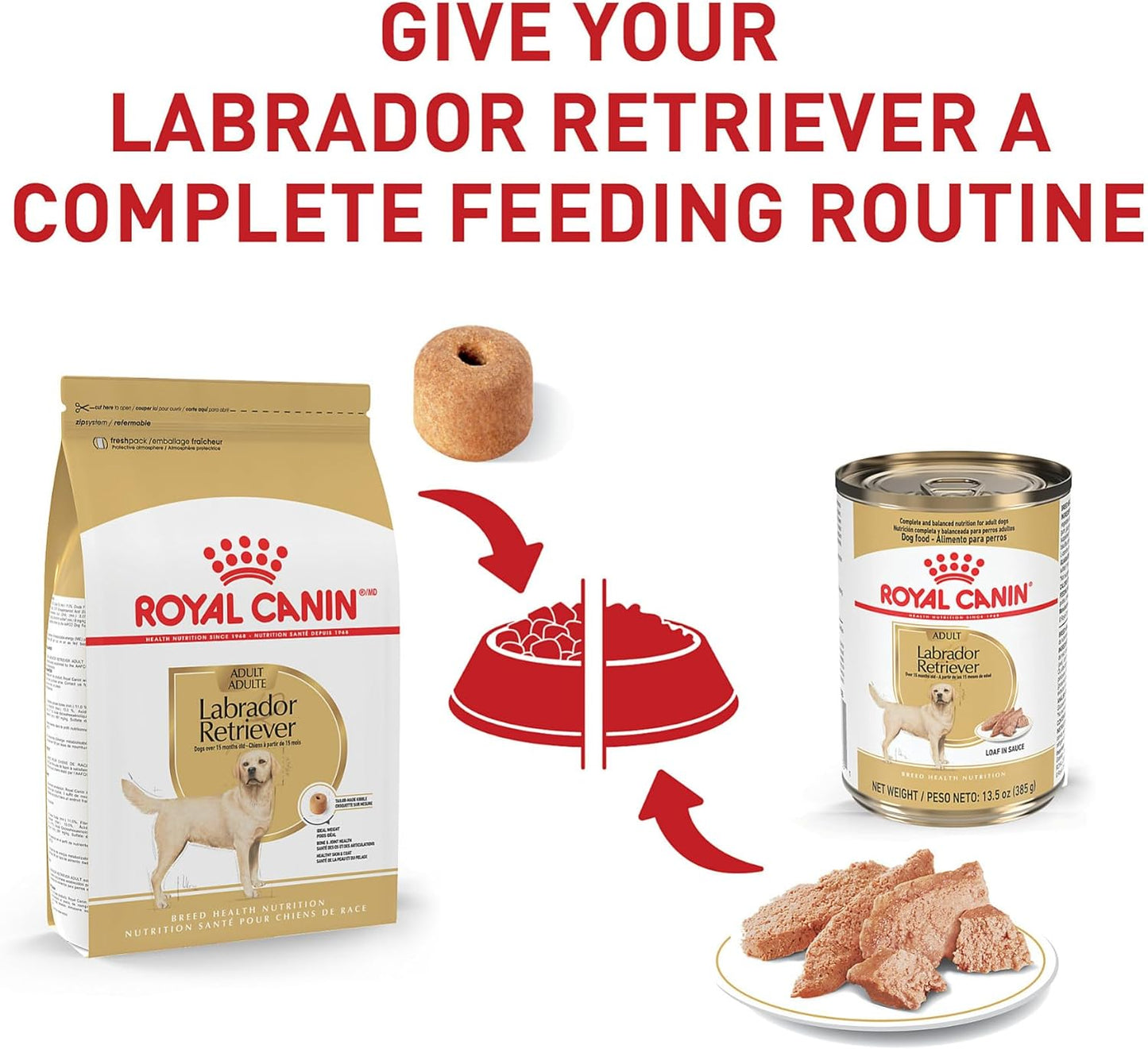 Royal Canin Breed Health Nutrition Labrador Retriever Adult Dry Dog Food - Dry Dog Food Royal Canin