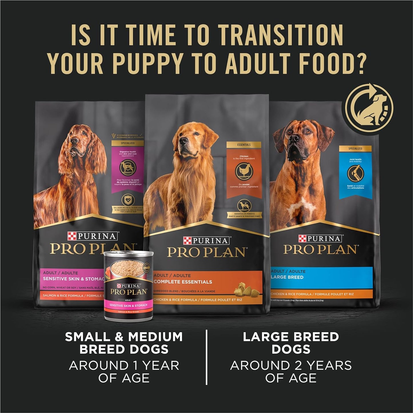 Purina Pro Plan Sensitive Skin & Stomach Dry Puppy Food Salmon & Rice Formula - Dry Dog Food Purina Pro Plan
