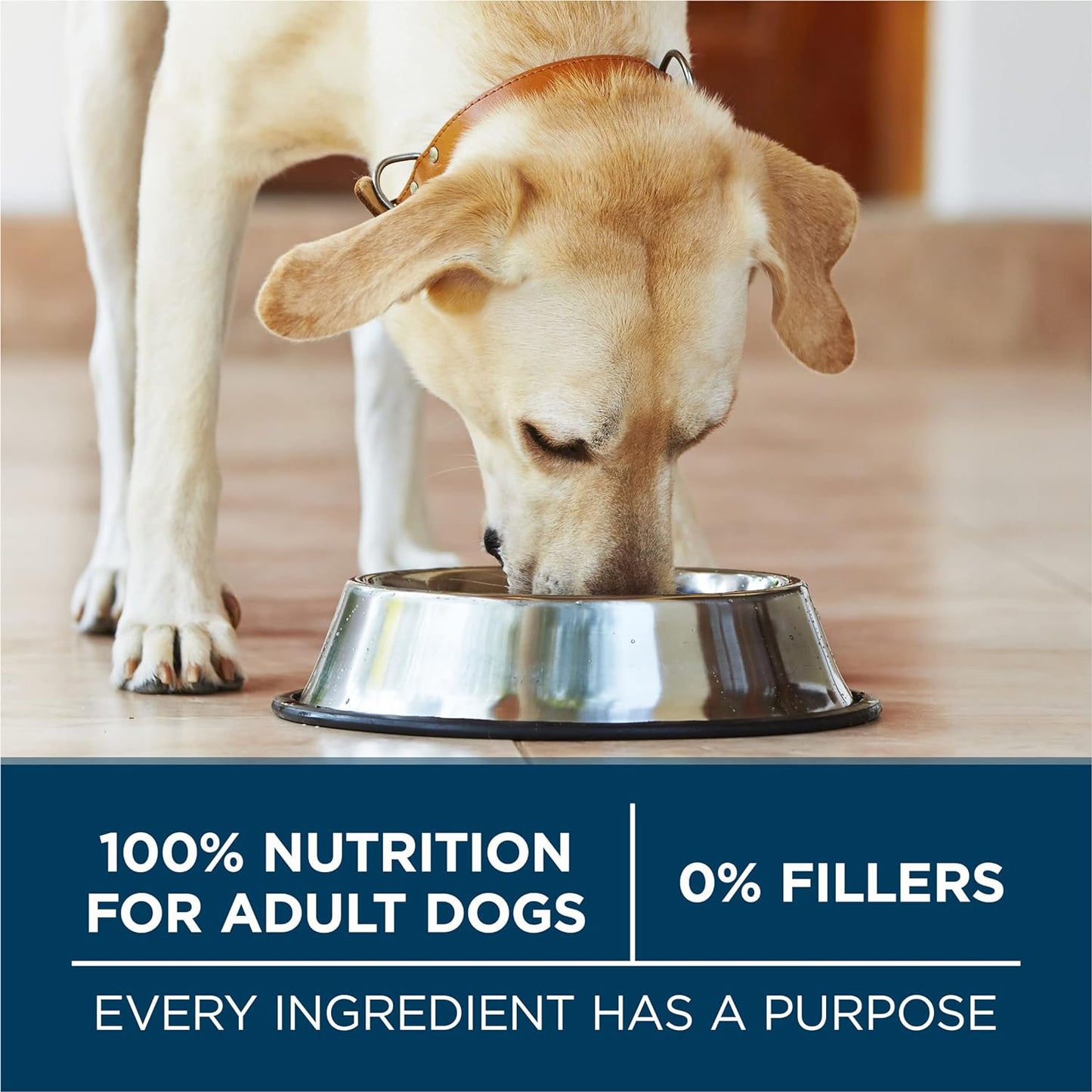 Purina One Plus Large Breed Adult Digestive Health Natural Dry Dog Food - Dry Dog Food Purina ONE