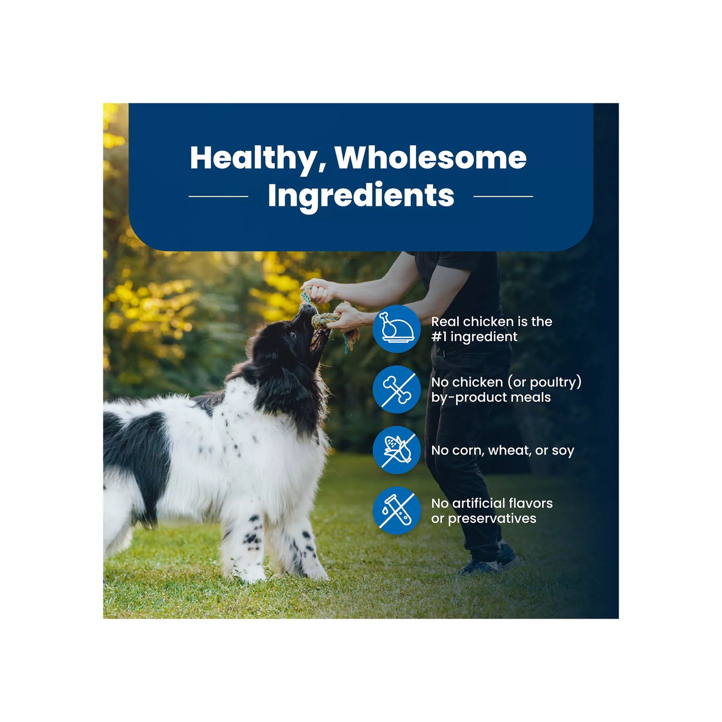 Blue Buffalo Life Protection Formula Adult Dry Dog Food - Chicken & Brown Rice