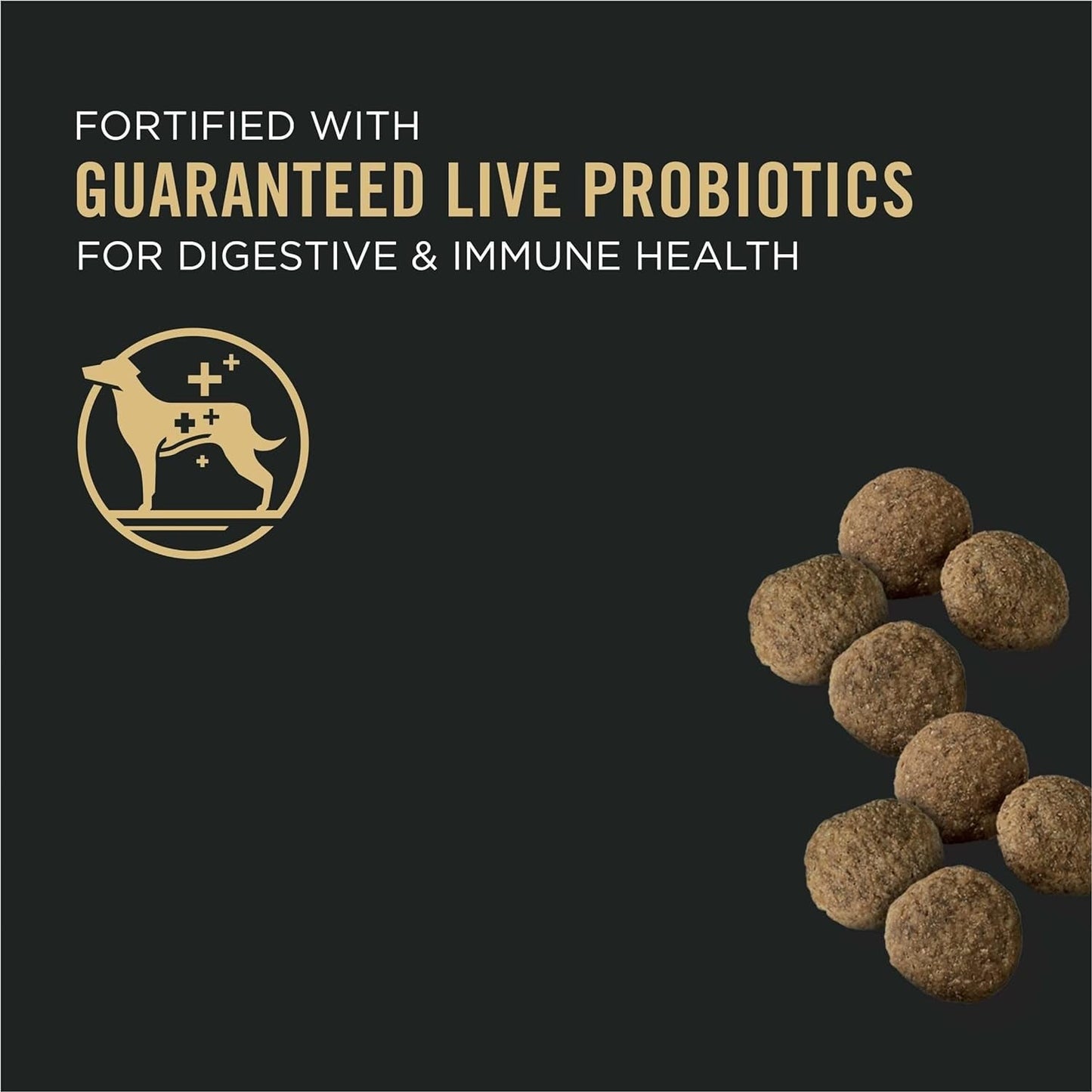 Purina Pro Plan Large Breed Dry Dog Food Sensitive Skin & Stomach Probiotics - Dry Dog Food Purina Pro Plan