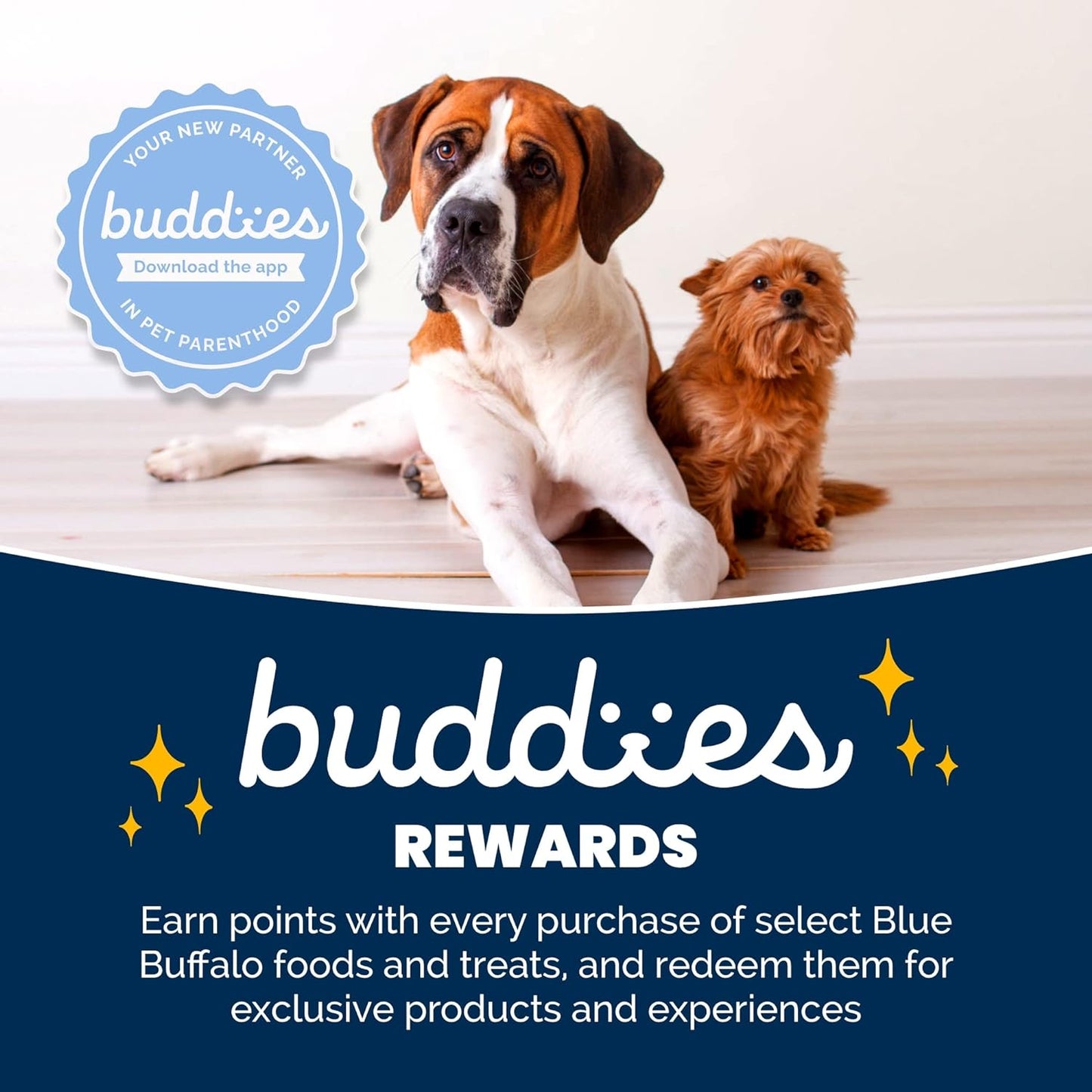 Blue Buffalo Blue Life Protection Formula Natural Adult Beef and Brown Rice Dry Dog Food - Dry Dog Food Blue Buffalo