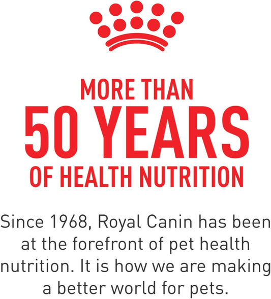 Royal Canin Feline Health Nutrition Ultra Soft Mousse in Sauce Mother & Babycat Canned Cat Food