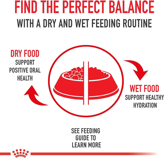Royal Canin Appetite Control Spayed/Neutered Dry Adult Cat Food, 6 LB