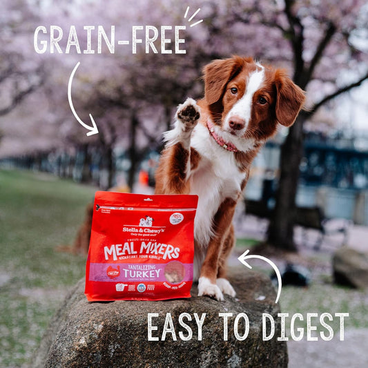 Stella & Chewy's Freeze Dried Raw Tantalizing Turkey Meal Mixer High Protein Dry Dog Food Topper