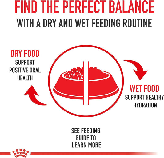 Royal Canin Breed Health Nutrition Dachshund Adult Dry Dog Food, 10 LB