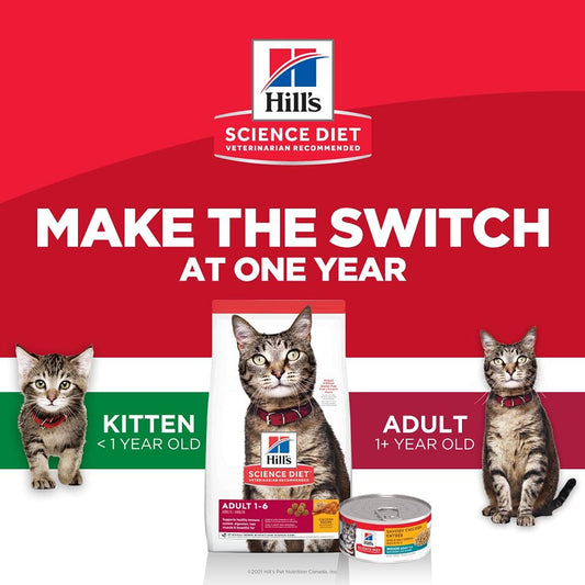 Hill's Science Diet Kitten Wet Cat Food Pouches, Chicken Recipe, 2.8 Ounce, 24-Pack