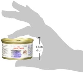 Royal Canin Feline Care Nutrition Digestive Care Loaf in Sauce Canned Cat Food