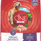 Purina ONE High Protein Dry Senior Dog Food Plus Vibrant Maturity Adult 7+ Formula -  Dry Dog Food Purina ONE