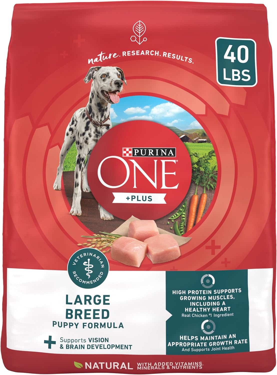 Purina ONE Natural High Protein Dry Puppy Food Plus Large Breed Formula -  Dry Dog Food Purina ONE