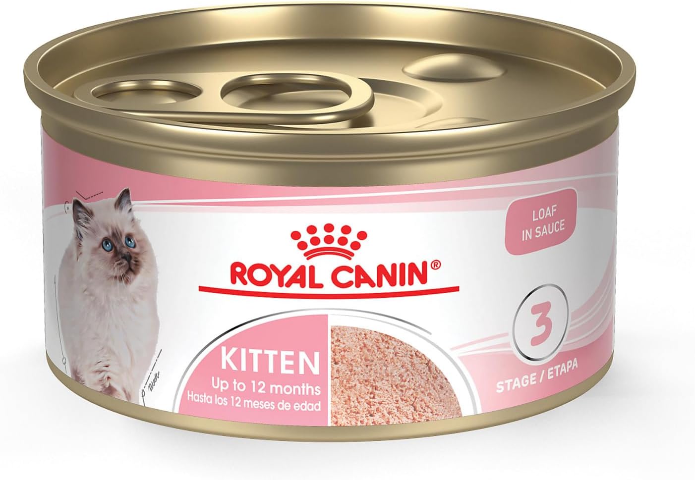 Royal Canin Feline Health Nutrition Kitten Loaf in Sauce Canned Cat Food -  Wet Cat Food Royal Canin