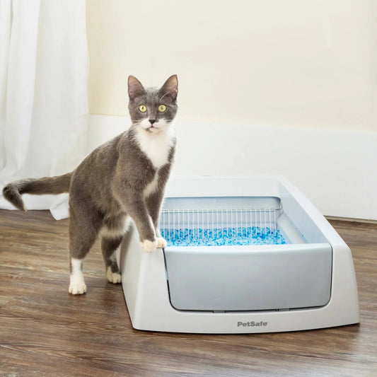 PetSafe ScoopFree Complete Classic Auto Self-Cleaning Litter Box -  Self-Cleaning Litter Box PetSafe