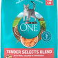 Purina ONE Natural Dry Cat Food, Tender Selects Blend With Real Salmon -  Dry Cat Food Purina ONE