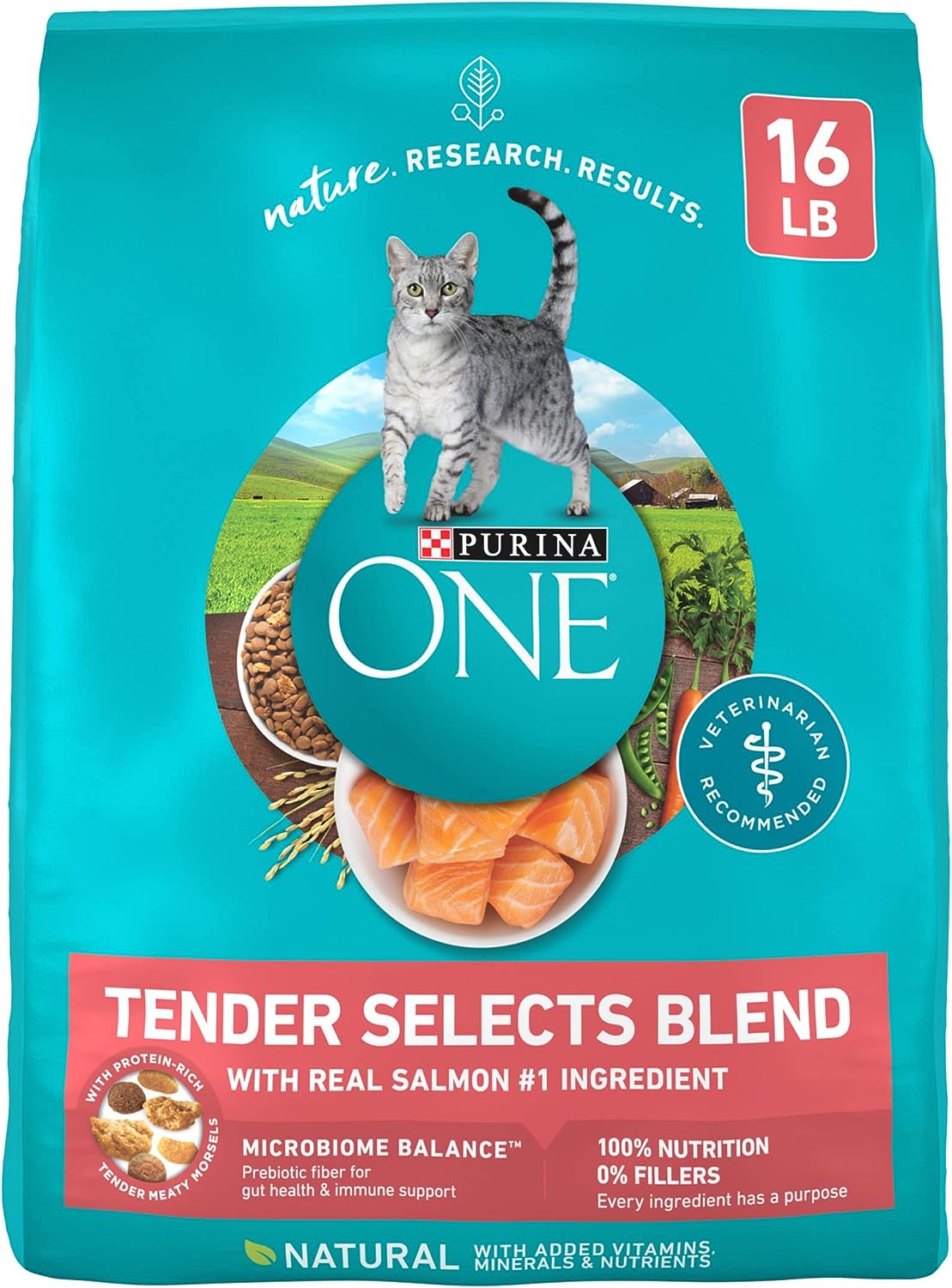 Purina ONE Natural Dry Cat Food, Tender Selects Blend With Real Salmon -  Dry Cat Food Purina ONE