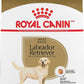 Royal Canin Breed Health Nutrition Labrador Retriever Adult Dry Dog Food -  Dry Dog Food Royal Canin