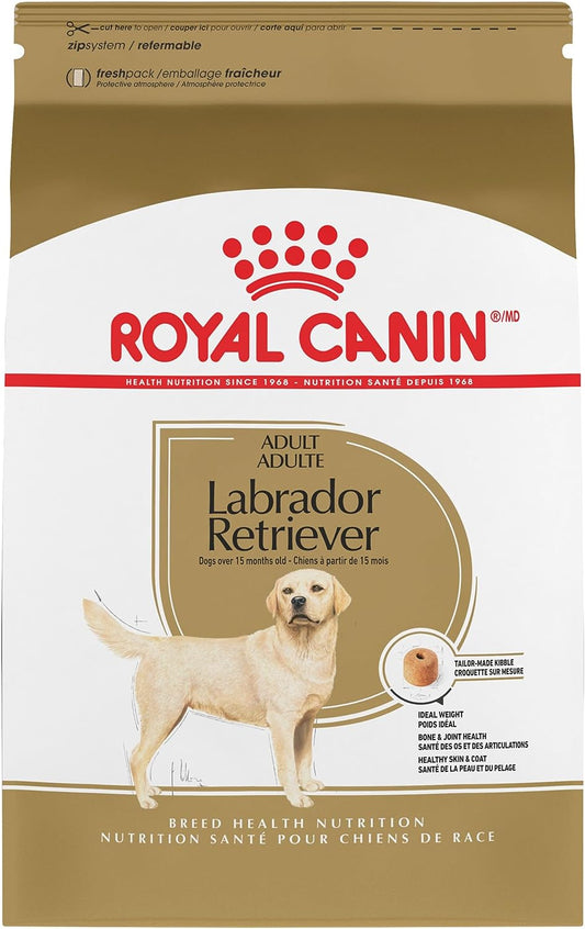 Royal Canin Breed Health Nutrition Labrador Retriever Adult Dry Dog Food -  Dry Dog Food Royal Canin