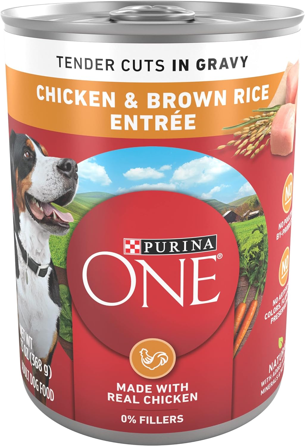 Purina ONE Natural High Protein Wet Dog Food, Tender Cuts in Gravy Chicken & Brown Rice Entree -  Wet Dog Food Purina ONE