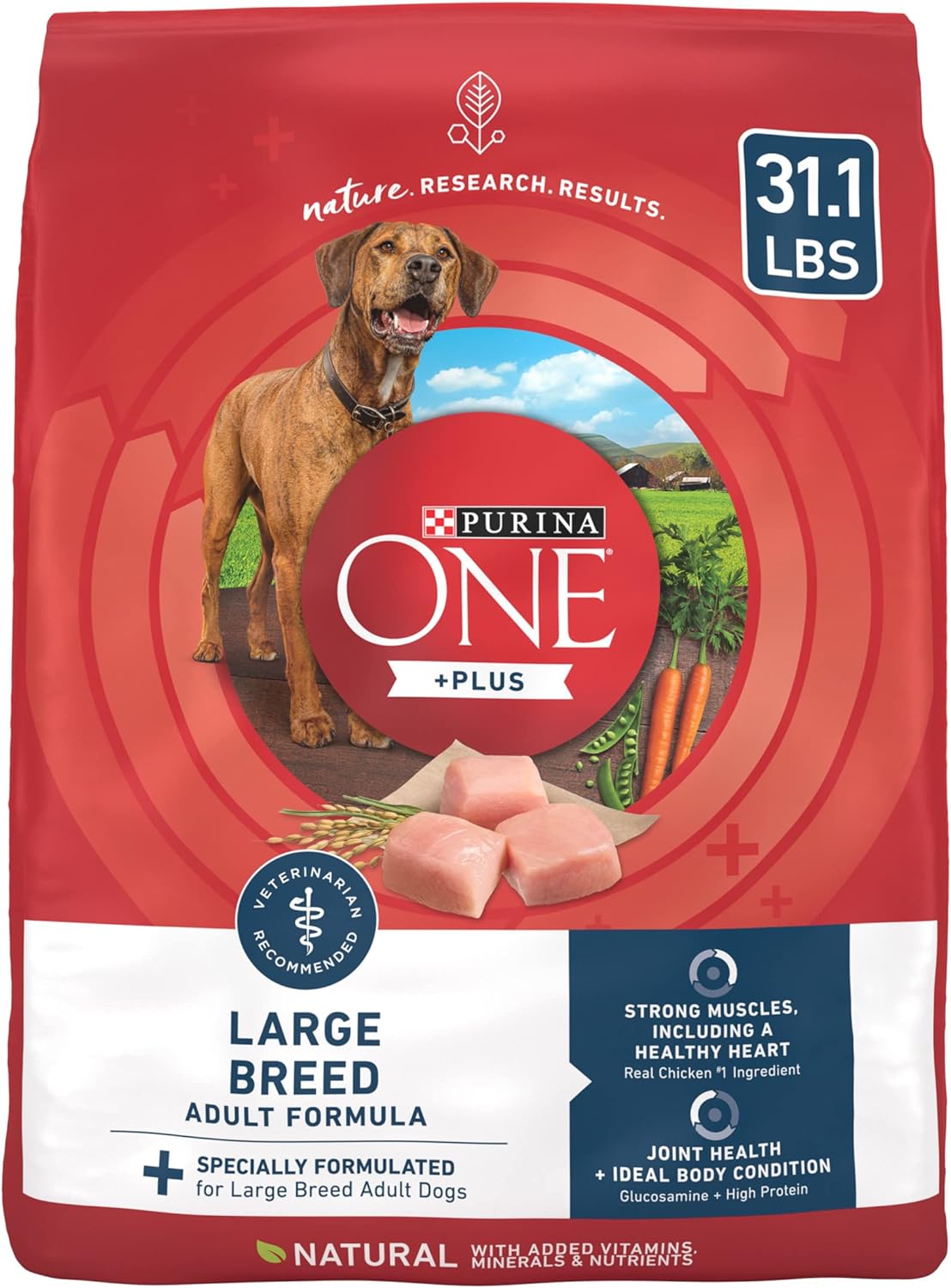 Purina One Plus Large Breed Adult Digestive Health Natural Dry Dog Food -  Dry Dog Food Purina ONE