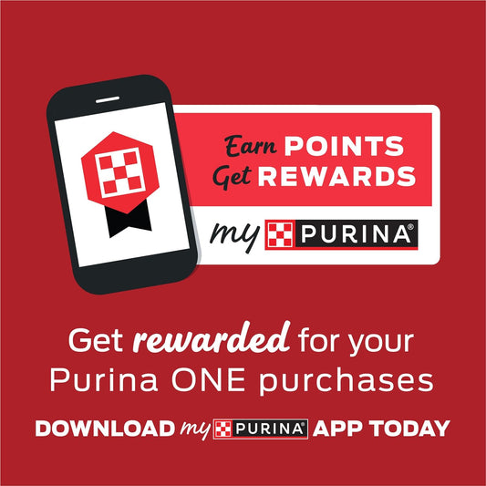 Purina ONE Natural Dry Cat Food, Tender Selects Blend With Real Chicken -  Dry Cat Food Purina ONE