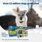 PetSafe Stay & Play Compact Wireless Fence for Dogs Portable Dog Fencing -  Dog Gates & Pens PetSafe