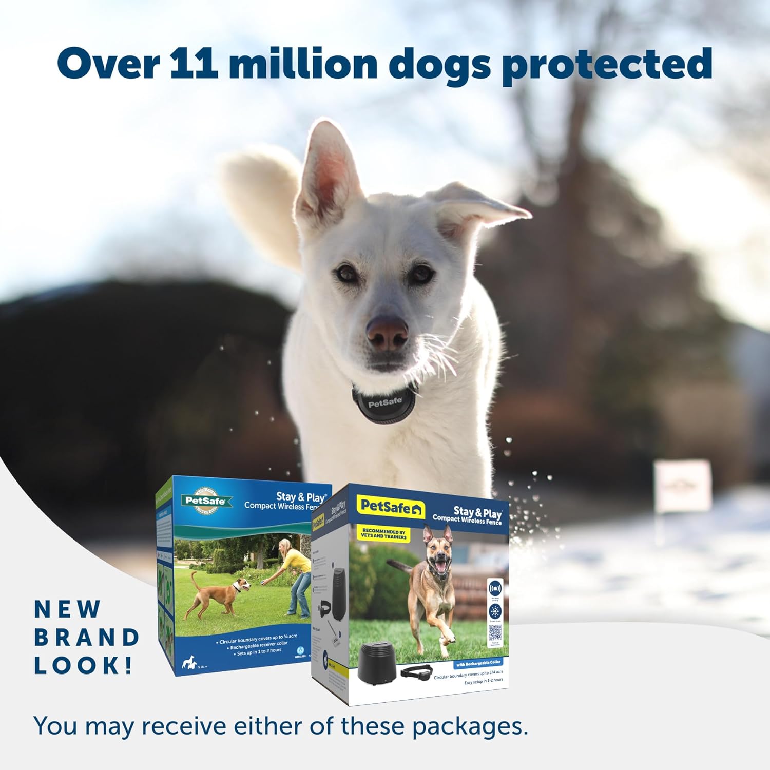 PetSafe Stay & Play Compact Wireless Fence for Dogs Portable Dog Fencing -  Dog Gates & Pens PetSafe