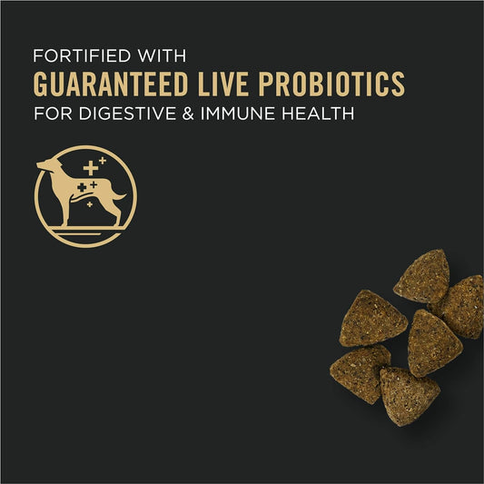 Purina Pro Plan Sensitive Skin & Stomach, Turkey & Oat Meal Formula Adult Dry Dog Food -  Dry Dog Food Purina Pro Plan