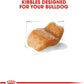 Royal Canin Breed Health Nutrition Bulldog Adult Dry Dog Food -  Dry Dog Food Royal Canin