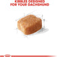 Royal Canin Breed Health Nutrition Dachshund Adult Dry Dog Food, 10 LB -  Dry Dog Food Royal Canin