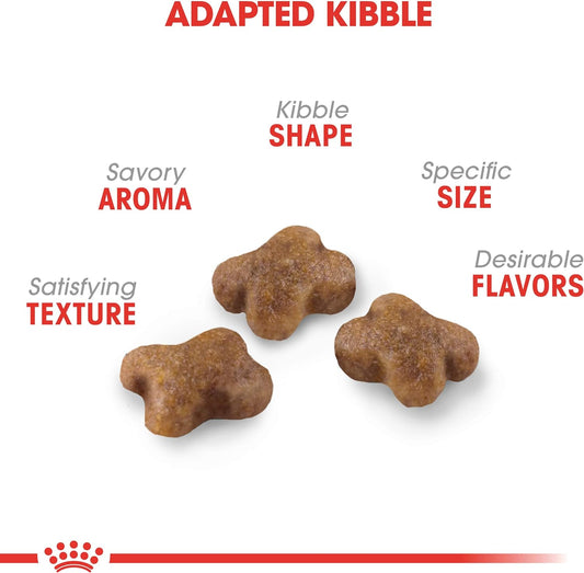 Royal Canin Feline Health Nutrition Dry Food for Young Kittens -  Dry Cat Food Royal Canin