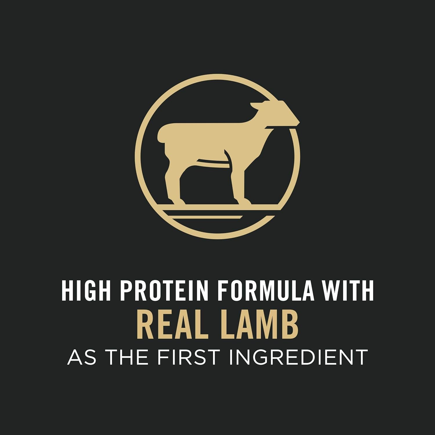 Purina Pro Plan Sensitive Skin & Stomach Lamb & Oat Meal Dry Puppy Food -  Dry Dog Food Purina Pro Plan