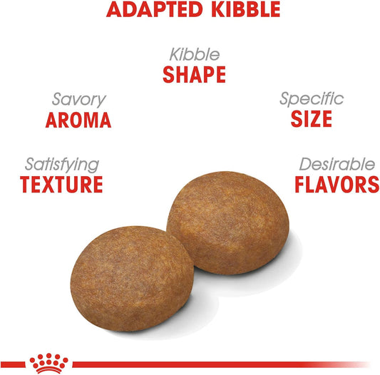 Royal Canin Large Adult 5+ Dry Dog Food for Older Dogs, 30 LB -  Dry Dog Food Royal Canin
