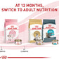 Royal Canin Feline Health Nutrition Kitten Loaf in Sauce Canned Cat Food -  Wet Cat Food Royal Canin