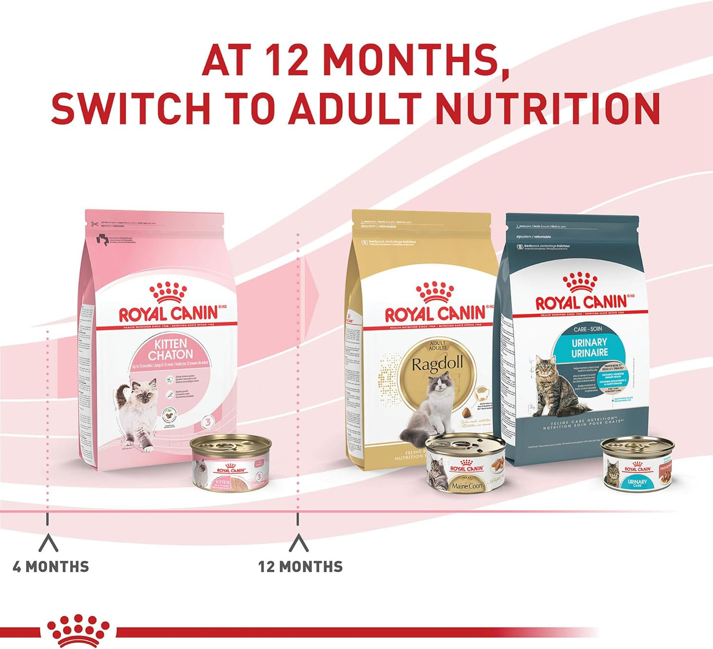 Royal Canin Feline Health Nutrition Kitten Loaf in Sauce Canned Cat Food -  Wet Cat Food Royal Canin