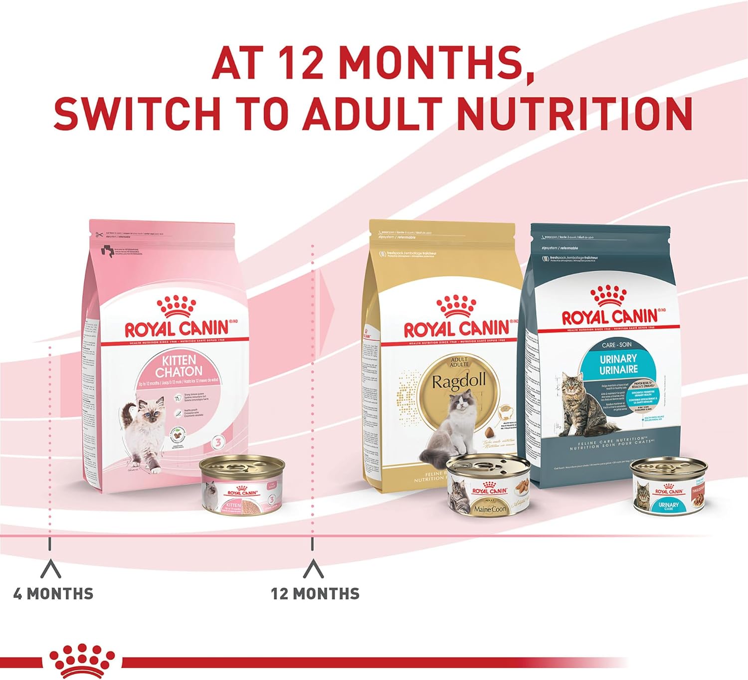 Royal Canin Feline Health Nutrition Kitten Loaf in Sauce Canned Cat Food -  Wet Cat Food Royal Canin