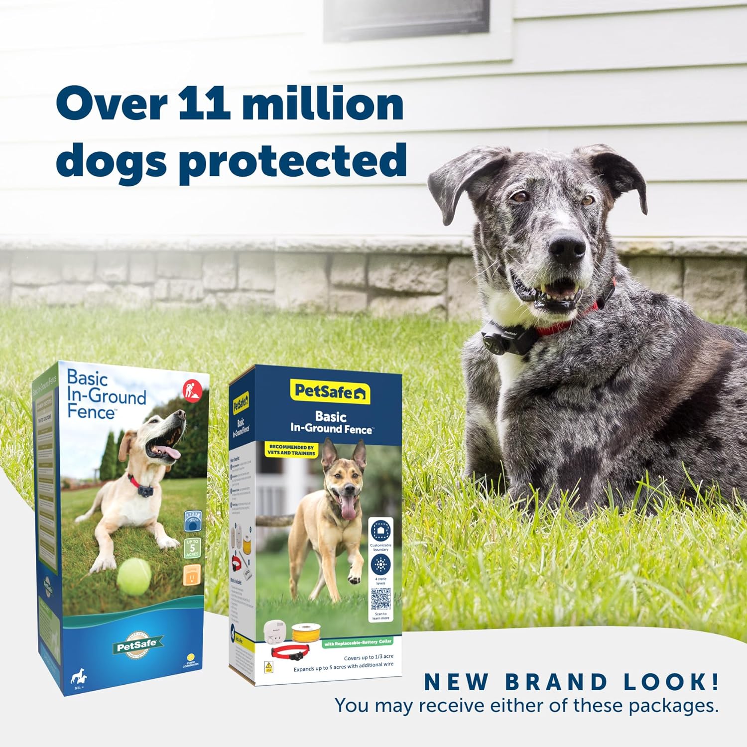 PetSafe Basic In-Ground Electric Pet Fence System & Training Collar -  Dog Gates & Pens PetSafe