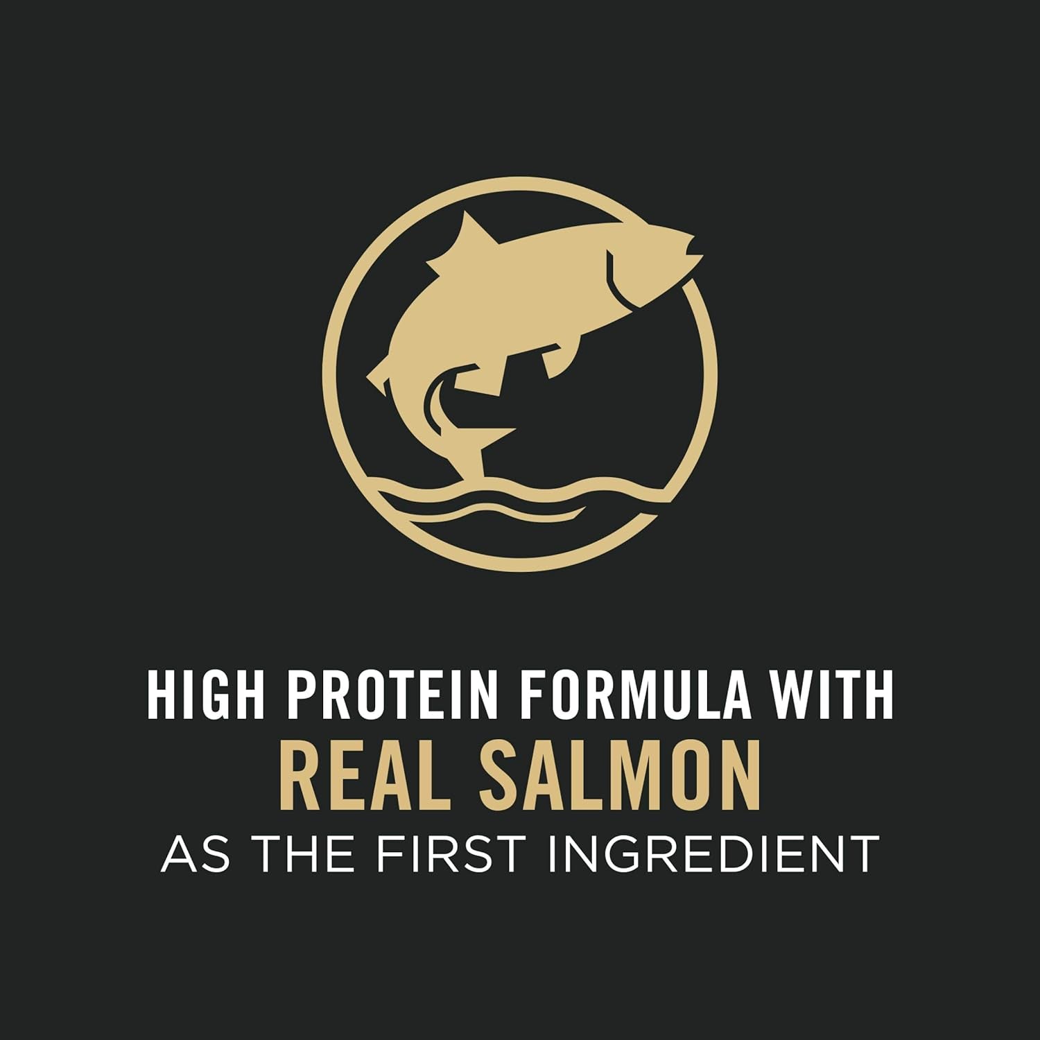 Purina Pro Plan Sensitive Skin & Stomach Dry Puppy Food Salmon & Rice Formula -  Dry Dog Food Purina Pro Plan